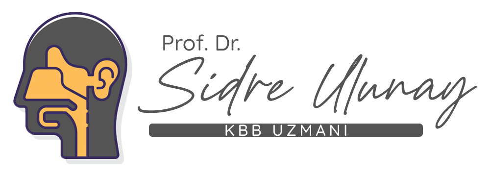 Kulak Burun Boğaz Doktoru